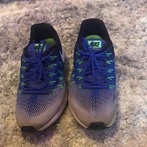 Nike Zoom Pegasus 33 running shoes